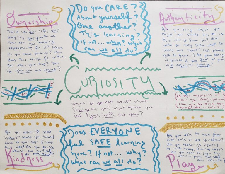 Image of a poster board about curiosity and learning.