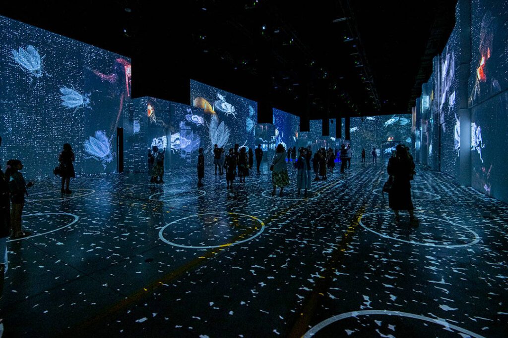 Photo of people in an art gallery with an experimental, digital design featuring insects.