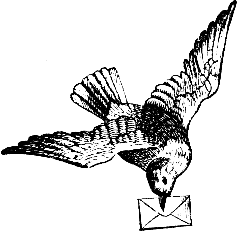 Decorative image of a bird carrying a letter.