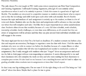 Image of a completed free write passage.