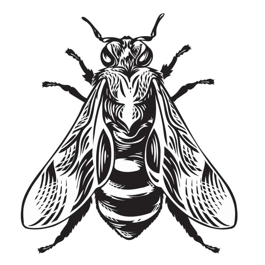 Image of a bee.